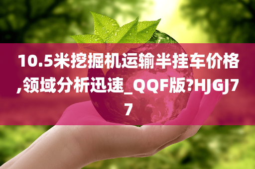 10.5米挖掘机运输半挂车价格,领域分析迅速_QQF版?HJGJ77