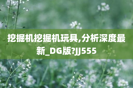 挖掘机挖掘机玩具,分析深度最新_DG版?JJ555