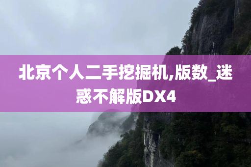 北京个人二手挖掘机,版数_迷惑不解版DX4