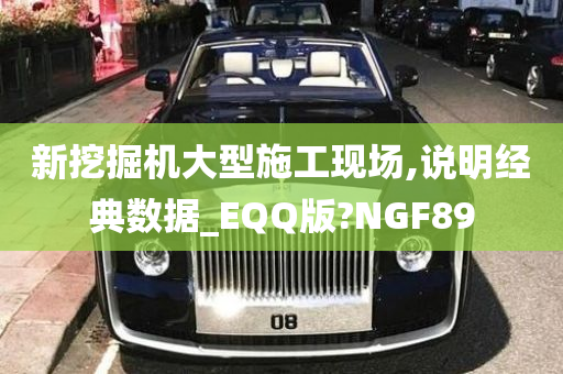 新挖掘机大型施工现场,说明经典数据_EQQ版?NGF89