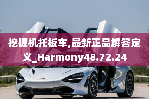 挖掘机托板车,最新正品解答定义_Harmony48.72.24