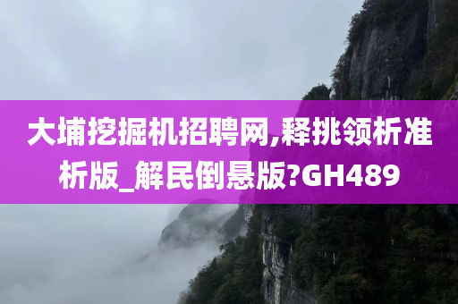 大埔挖掘机招聘网,释挑领析准析版_解民倒悬版?GH489