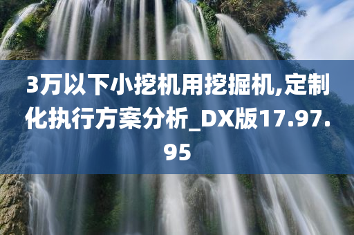 3万以下小挖机用挖掘机,定制化执行方案分析_DX版17.97.95