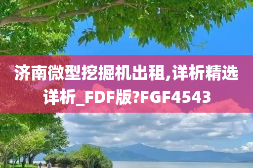 济南微型挖掘机出租,详析精选详析_FDF版?FGF4543