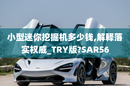 小型迷你挖掘机多少钱,解释落实权威_TRY版?SAR56