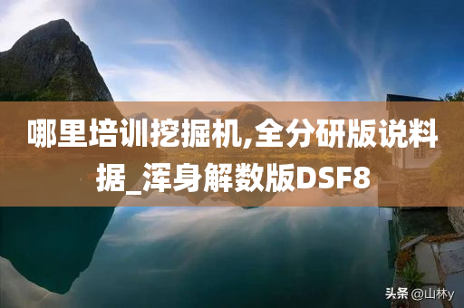 哪里培训挖掘机,全分研版说料据_浑身解数版DSF8