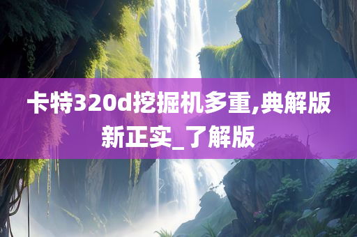 卡特320d挖掘机多重,典解版新正实_了解版