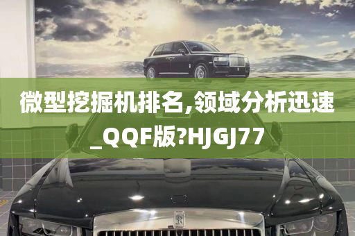 微型挖掘机排名,领域分析迅速_QQF版?HJGJ77