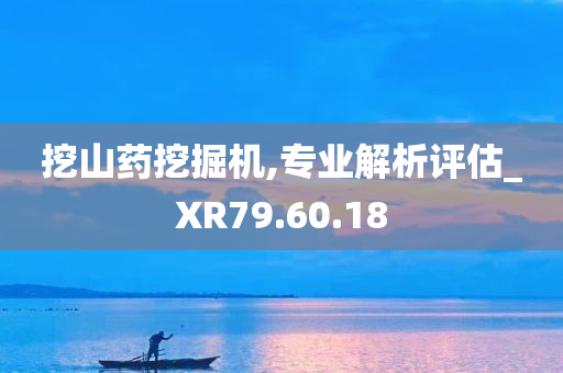 挖山药挖掘机,专业解析评估_XR79.60.18