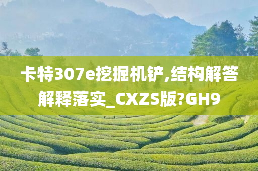 卡特307e挖掘机铲,结构解答解释落实_CXZS版?GH9