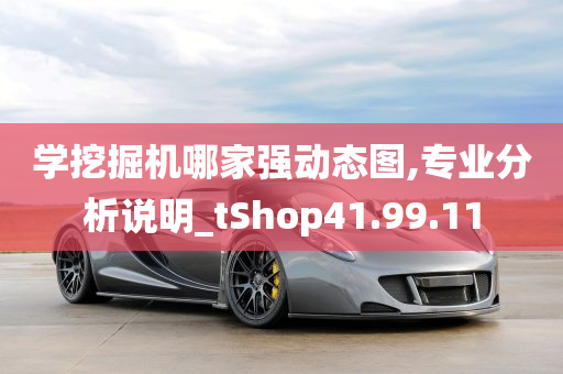 学挖掘机哪家强动态图,专业分析说明_tShop41.99.11