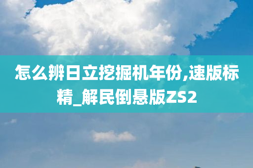 怎么辨日立挖掘机年份,速版标精_解民倒悬版ZS2