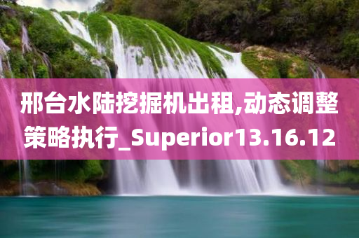 邢台水陆挖掘机出租,动态调整策略执行_Superior13.16.12