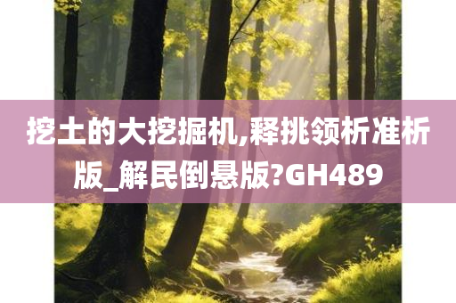 挖土的大挖掘机,释挑领析准析版_解民倒悬版?GH489