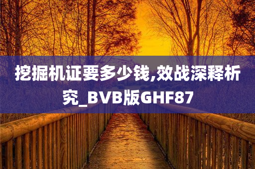 挖掘机证要多少钱,效战深释析究_BVB版GHF87