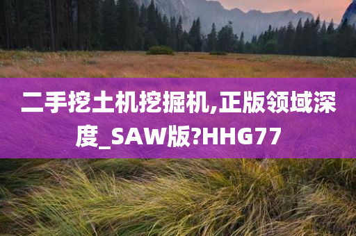 二手挖土机挖掘机,正版领域深度_SAW版?HHG77