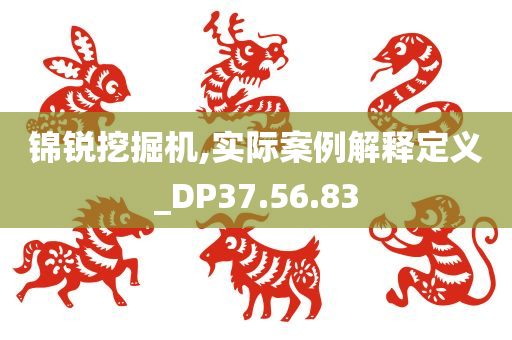 锦锐挖掘机,实际案例解释定义_DP37.56.83