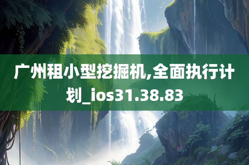 广州租小型挖掘机,全面执行计划_ios31.38.83