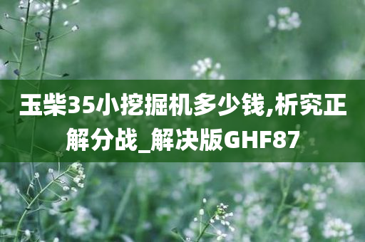 玉柴35小挖掘机多少钱,析究正解分战_解决版GHF87