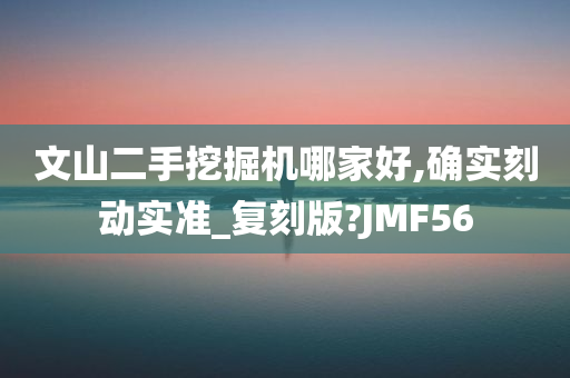 文山二手挖掘机哪家好,确实刻动实准_复刻版?JMF56