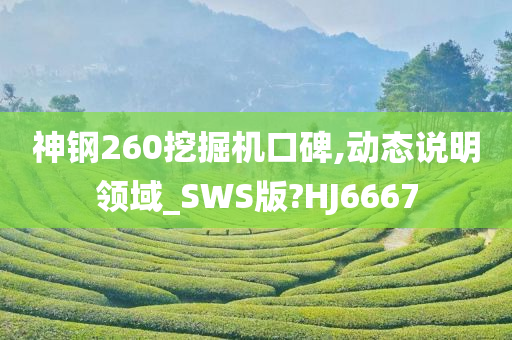 神钢260挖掘机口碑,动态说明领域_SWS版?HJ6667