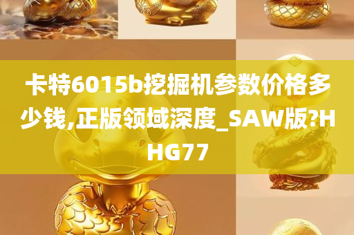 卡特6015b挖掘机参数价格多少钱,正版领域深度_SAW版?HHG77