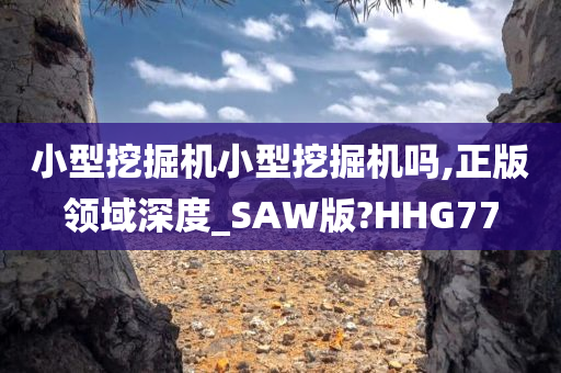 小型挖掘机小型挖掘机吗,正版领域深度_SAW版?HHG77