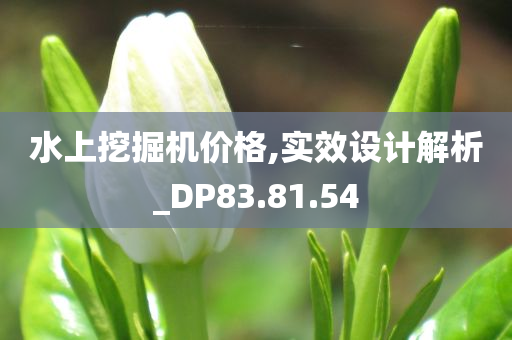 水上挖掘机价格,实效设计解析_DP83.81.54