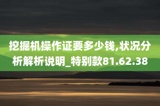 挖掘机操作证要多少钱,状况分析解析说明_特别款81.62.38