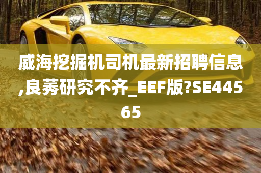 威海挖掘机司机最新招聘信息,良莠研究不齐_EEF版?SE44565