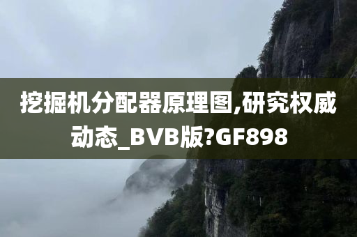 挖掘机分配器原理图,研究权威动态_BVB版?GF898