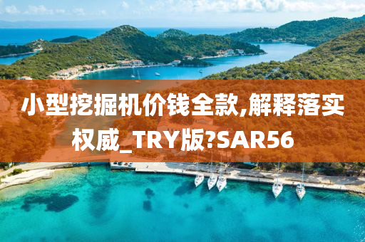 小型挖掘机价钱全款,解释落实权威_TRY版?SAR56