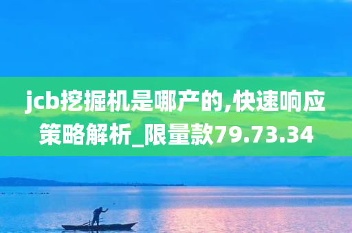 jcb挖掘机是哪产的,快速响应策略解析_限量款79.73.34