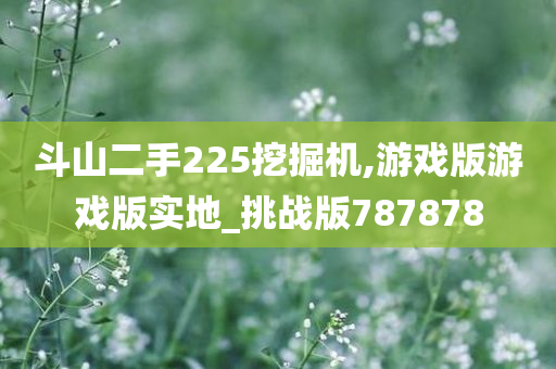 斗山二手225挖掘机,游戏版游戏版实地_挑战版787878