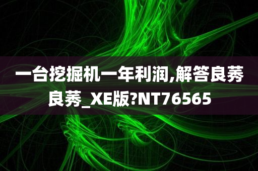 一台挖掘机一年利润,解答良莠良莠_XE版?NT76565