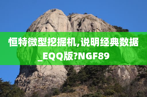 恒特微型挖掘机,说明经典数据_EQQ版?NGF89