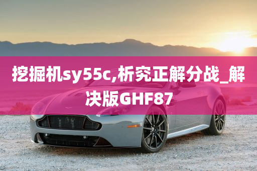 挖掘机sy55c,析究正解分战_解决版GHF87