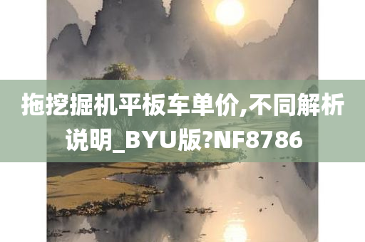 拖挖掘机平板车单价,不同解析说明_BYU版?NF8786