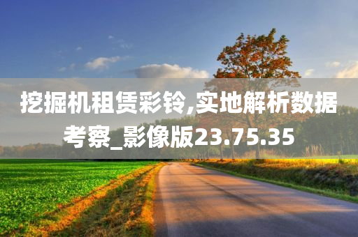 挖掘机租赁彩铃,实地解析数据考察_影像版23.75.35