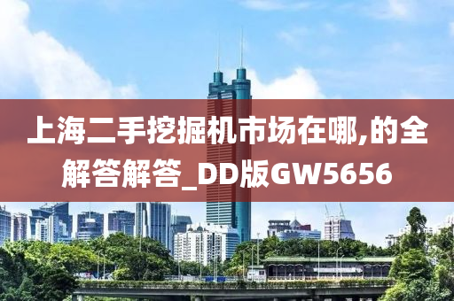 上海二手挖掘机市场在哪,的全解答解答_DD版GW5656