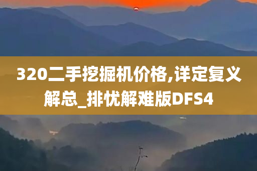 320二手挖掘机价格,详定复义解总_排忧解难版DFS4