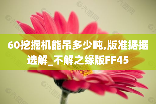 60挖掘机能吊多少吨,版准据据选解_不解之缘版FF45