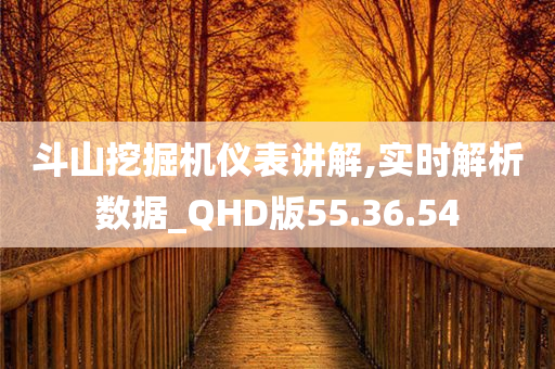 斗山挖掘机仪表讲解,实时解析数据_QHD版55.36.54