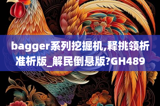 bagger系列挖掘机,释挑领析准析版_解民倒悬版?GH489