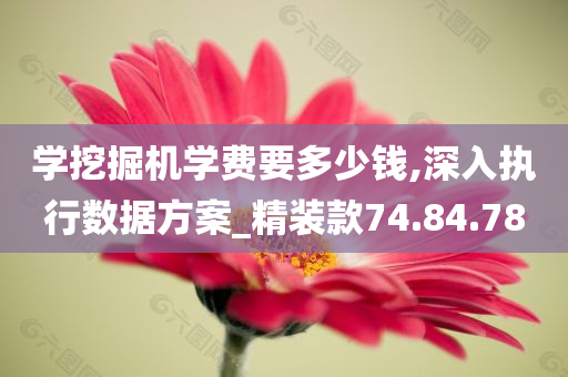 学挖掘机学费要多少钱,深入执行数据方案_精装款74.84.78