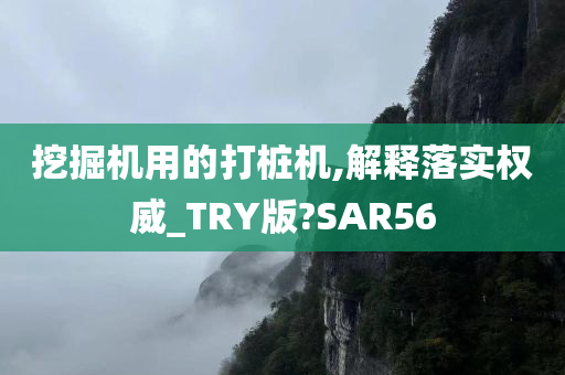 挖掘机用的打桩机,解释落实权威_TRY版?SAR56