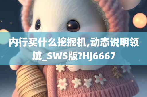 内行买什么挖掘机,动态说明领域_SWS版?HJ6667