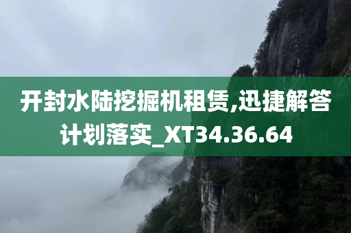 开封水陆挖掘机租赁,迅捷解答计划落实_XT34.36.64