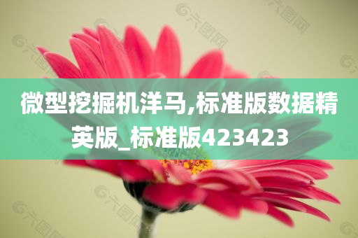 微型挖掘机洋马,标准版数据精英版_标准版423423