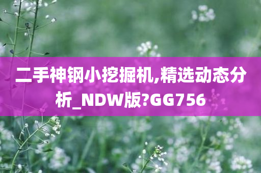 二手神钢小挖掘机,精选动态分析_NDW版?GG756